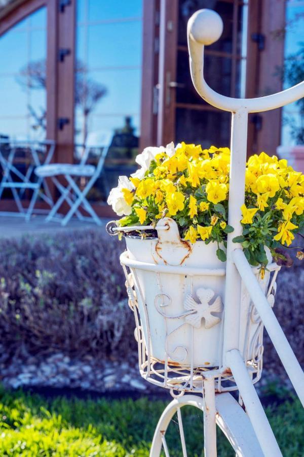 Feniks Agro&Spa Adults Only Swinoujscie Bagian luar foto