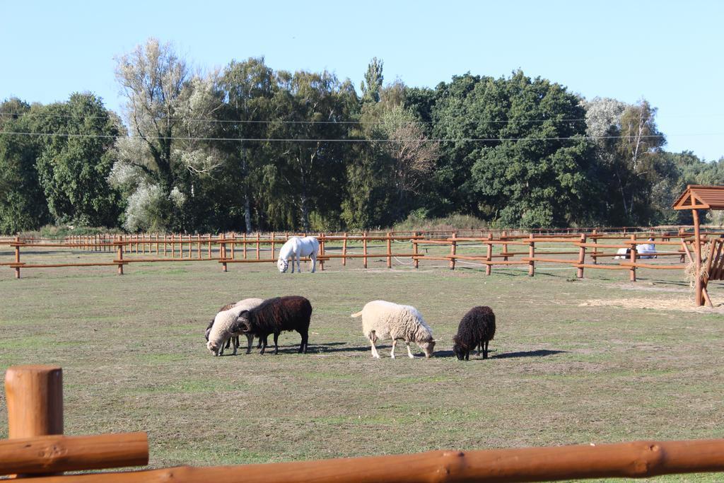 Feniks Agro&Spa Adults Only Swinoujscie Bagian luar foto