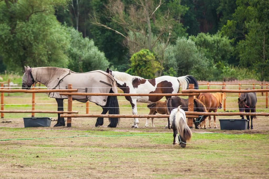 Feniks Agro&Spa Adults Only Swinoujscie Bagian luar foto