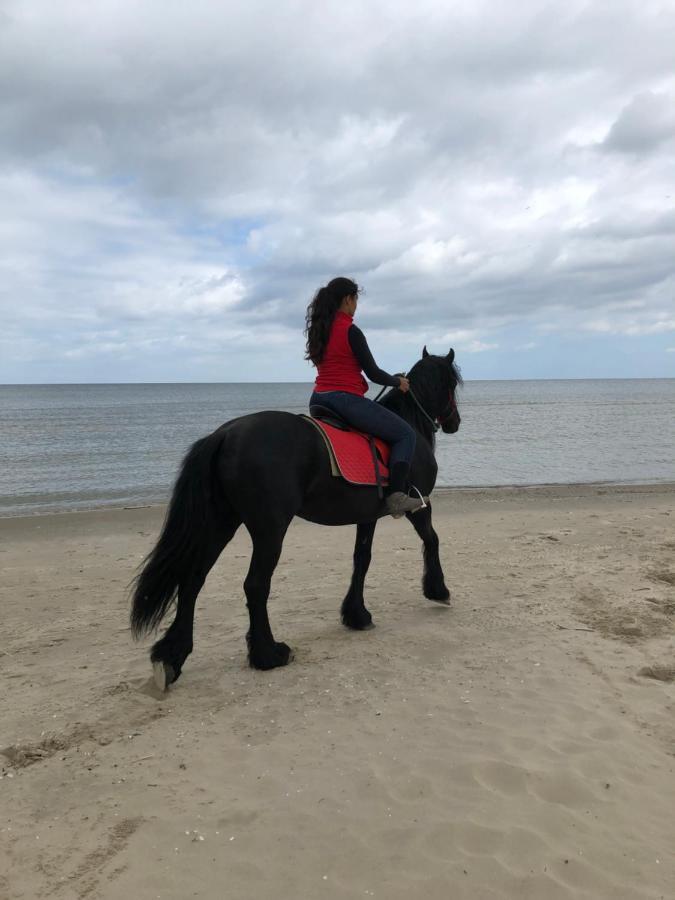 Feniks Agro&Spa Adults Only Swinoujscie Bagian luar foto